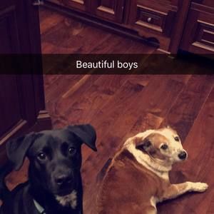 Meet your Posher, Natalie